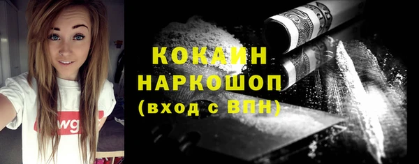 молекула духа Снежногорск